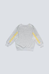 Sweat ours / jaune / rouge / verte / bleu / for kids